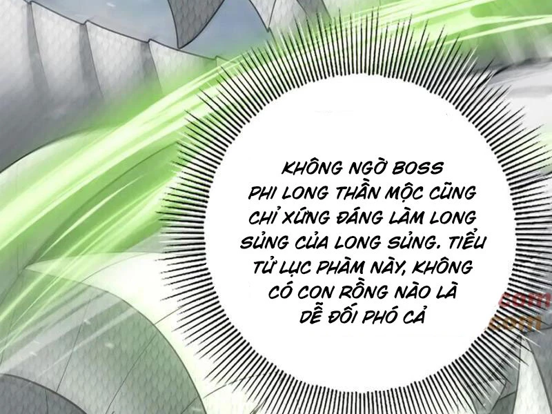 Toàn Dân Chuyển Chức: Ngự Long Sư Là Chức Nghiệp Yếu Nhất? Chap 62 - Next Chap 63