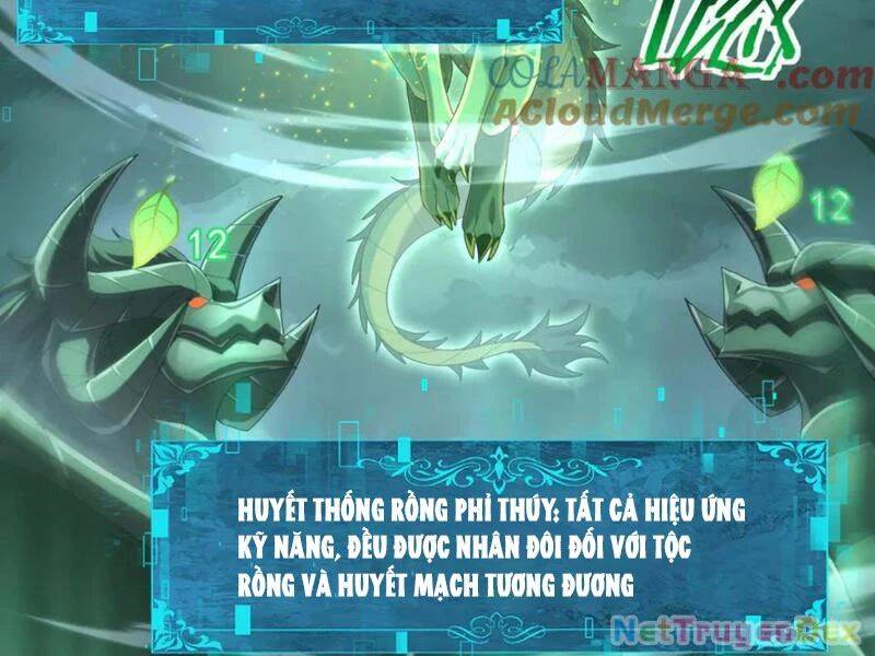 Toàn Dân Chuyển Chức: Ngự Long Sư Là Chức Nghiệp Yếu Nhất? Chap 79 - Next Chap 80