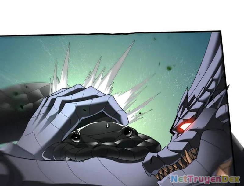 Toàn Dân Chuyển Chức: Ngự Long Sư Là Chức Nghiệp Yếu Nhất? Chap 81 - Next Chap 82
