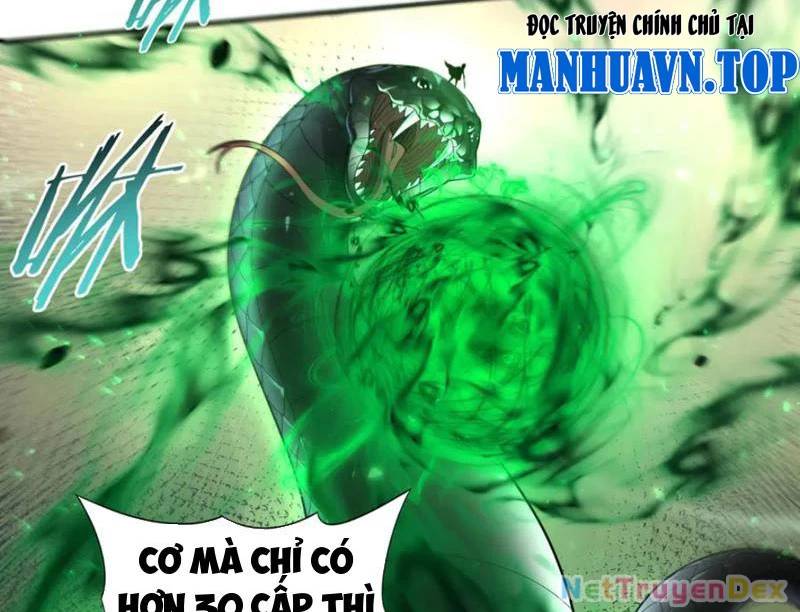 Toàn Dân Chuyển Chức: Ngự Long Sư Là Chức Nghiệp Yếu Nhất? Chap 81 - Next Chap 82