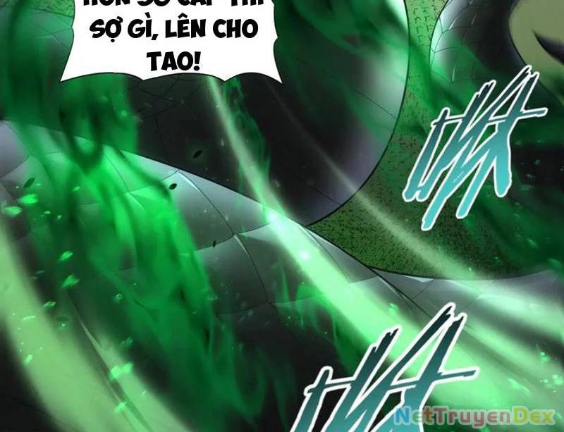 Toàn Dân Chuyển Chức: Ngự Long Sư Là Chức Nghiệp Yếu Nhất? Chap 81 - Next Chap 82