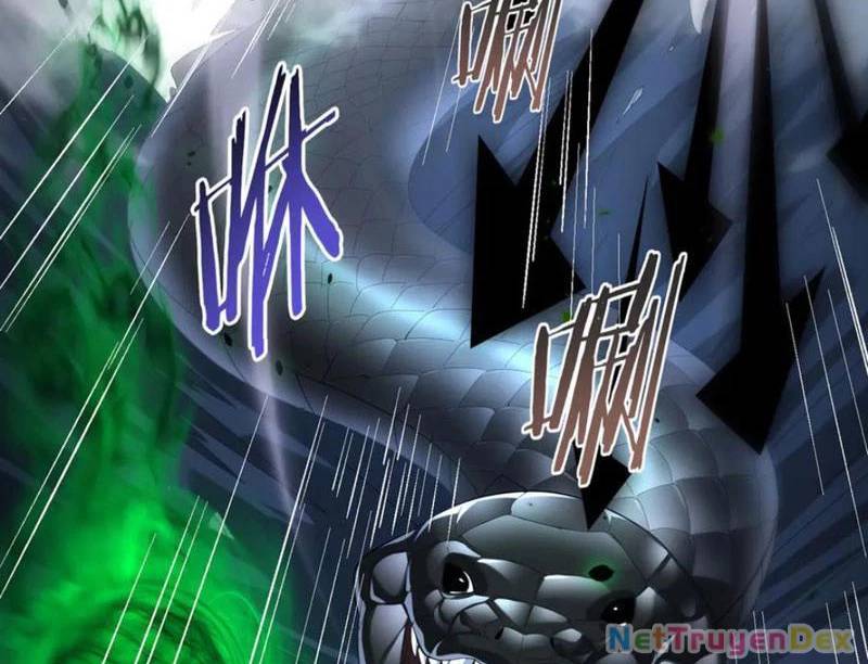 Toàn Dân Chuyển Chức: Ngự Long Sư Là Chức Nghiệp Yếu Nhất? Chap 81 - Next Chap 82