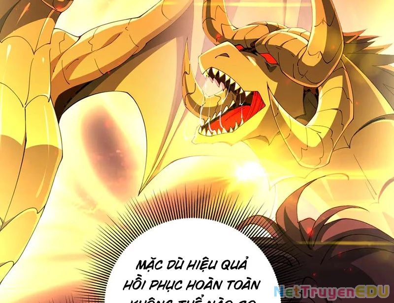 Toàn Dân Chuyển Chức: Ngự Long Sư Là Chức Nghiệp Yếu Nhất? Chap 97 - Next Chap 98