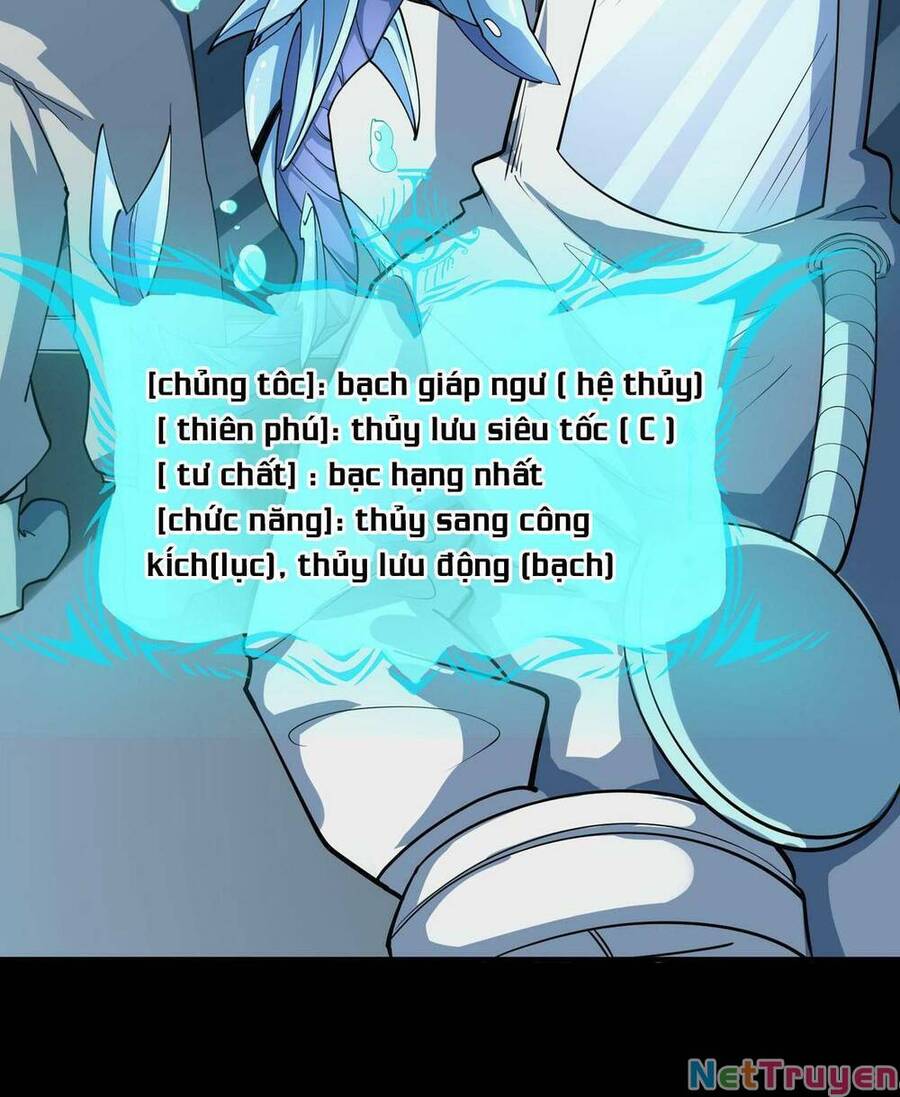 Toàn Dân Ngự Thú: Bắt Đầu Thức Tỉnh Thiên Phú Cấp Thần Thoại Chap 5 - Next Chap 6