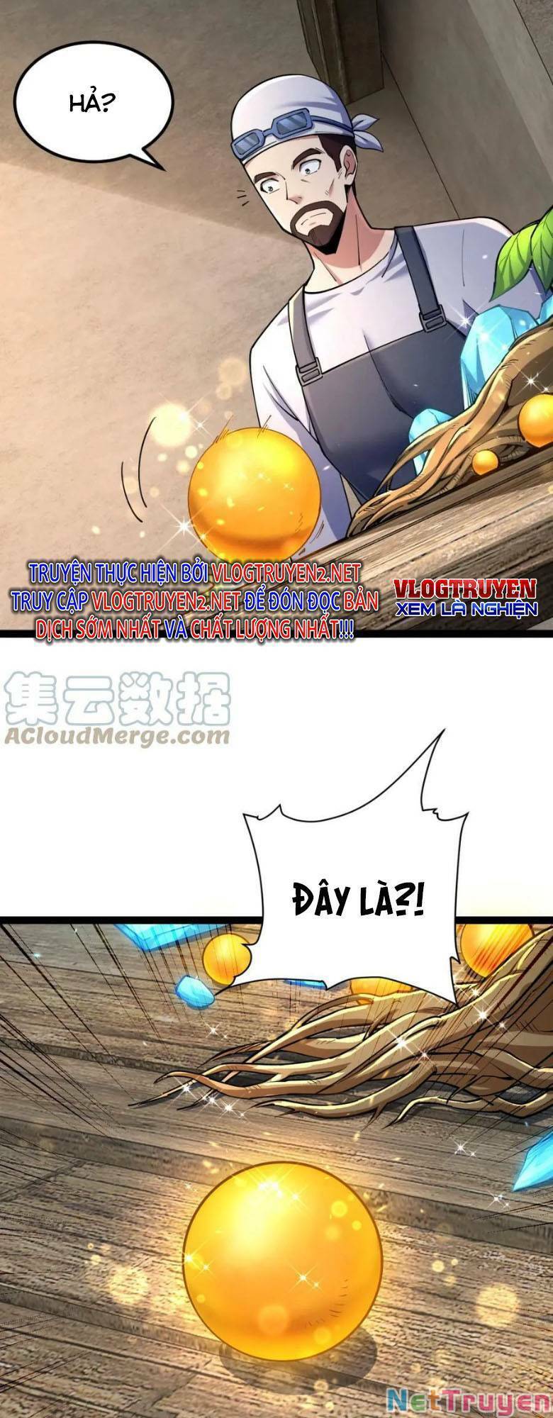 Toàn Thuộc Tính Võ Đạo Chap 38 - Next Chap 39