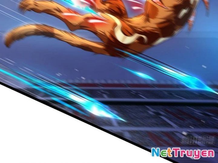 Tối Cường Tinh Thú Sư Chap 2 - Next Chap 3