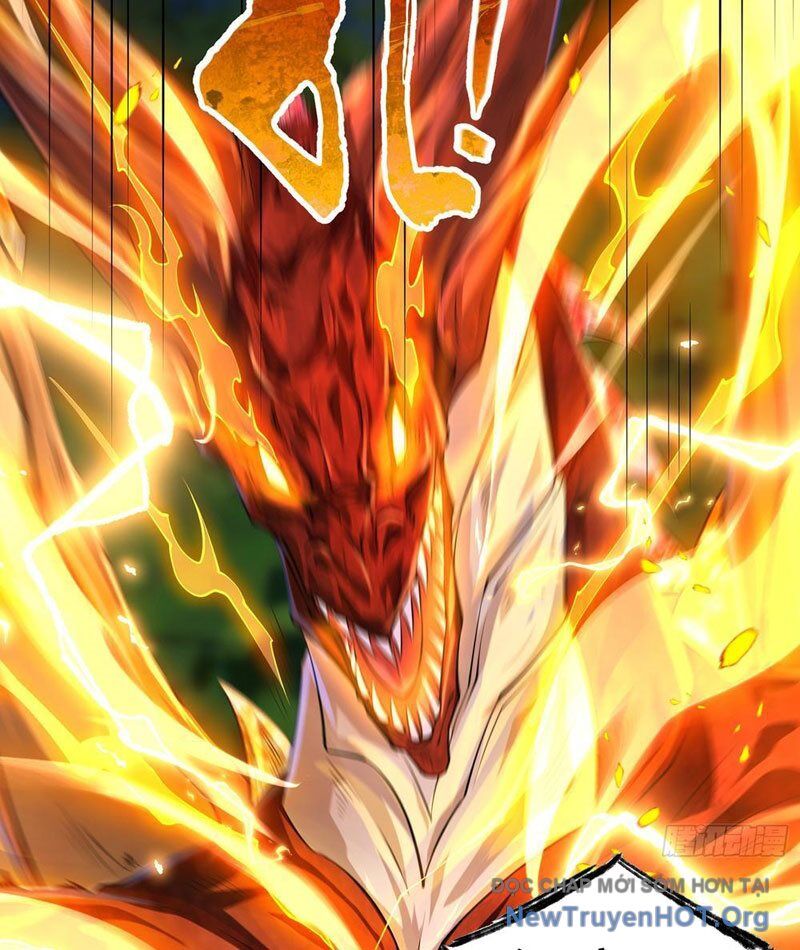 Tối Cường Tinh Thú Sư Chap 5 - Next Chap 6