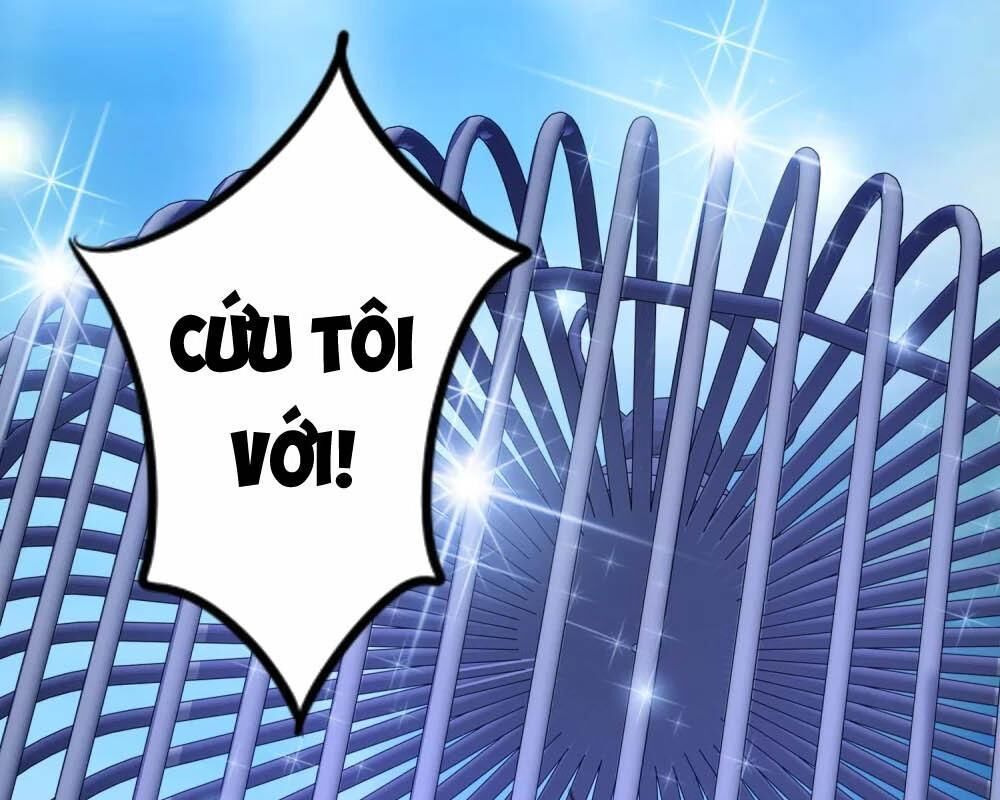 Tối Cường Vận Đào Hoa Chap 101 - Next Chap 102