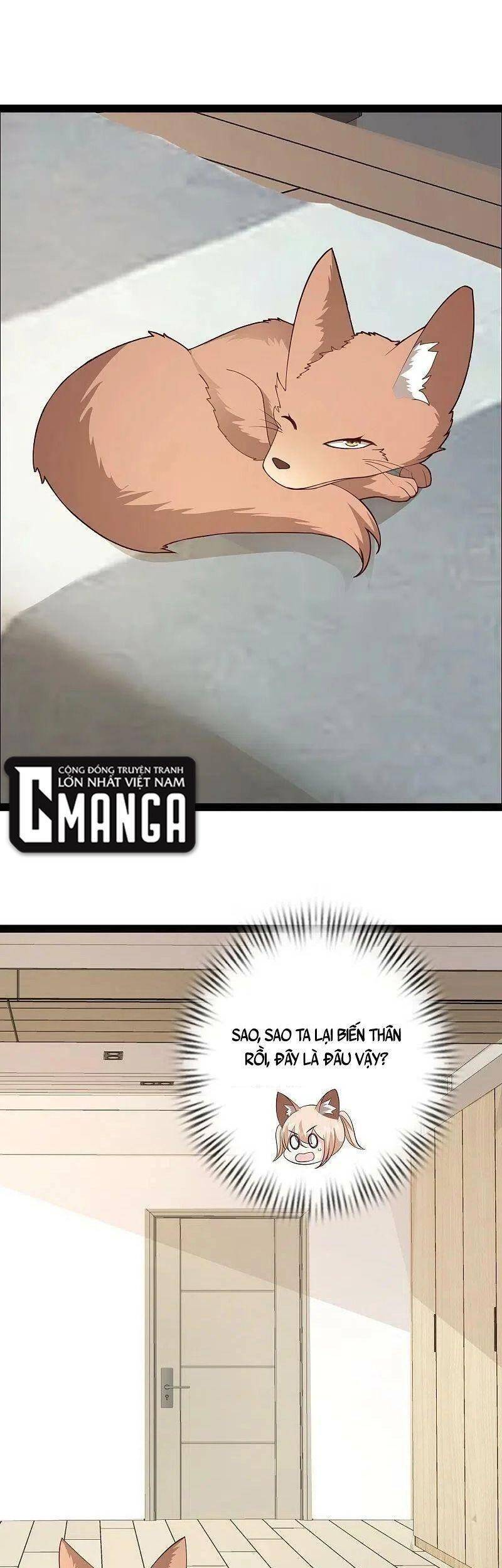 Tối Cường Vận Đào Hoa Chap 276 - Next Chap 277