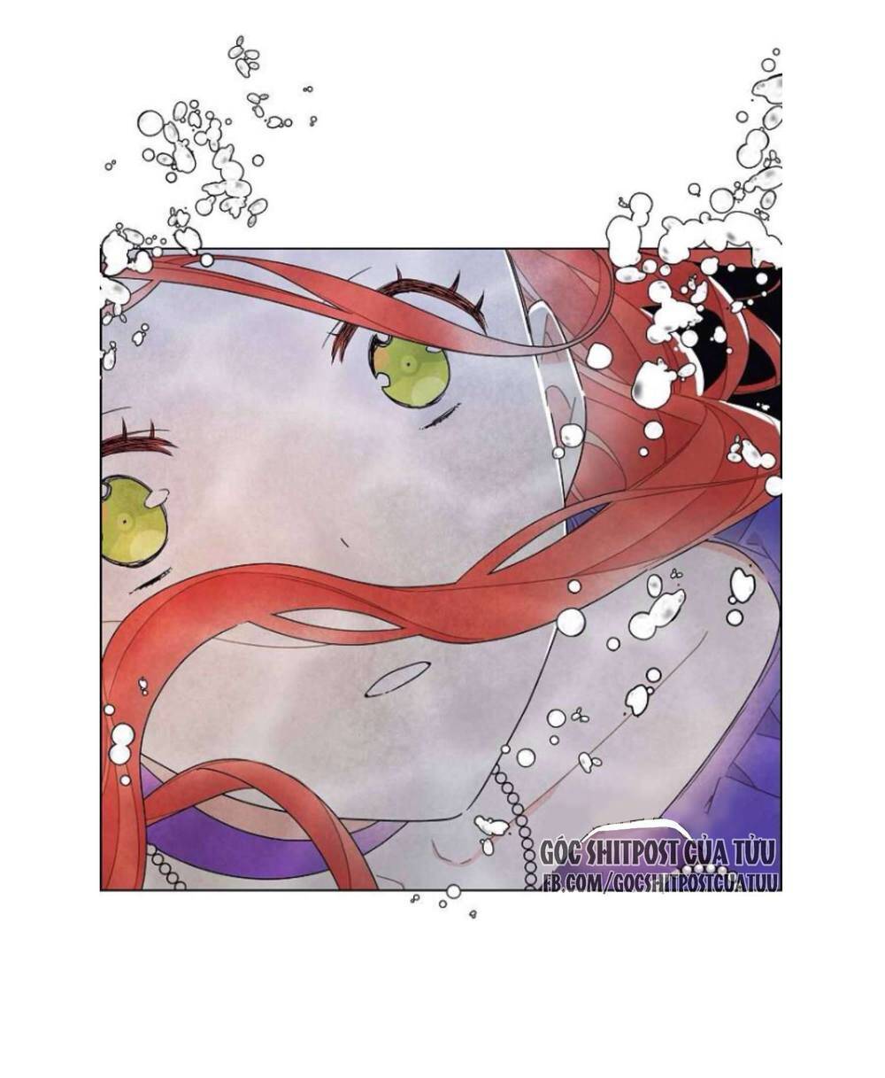 Tôi Đã Cướp Mất Đêm Đầu Tiên Của Nam Chính Chap 25 - Next Chap 26