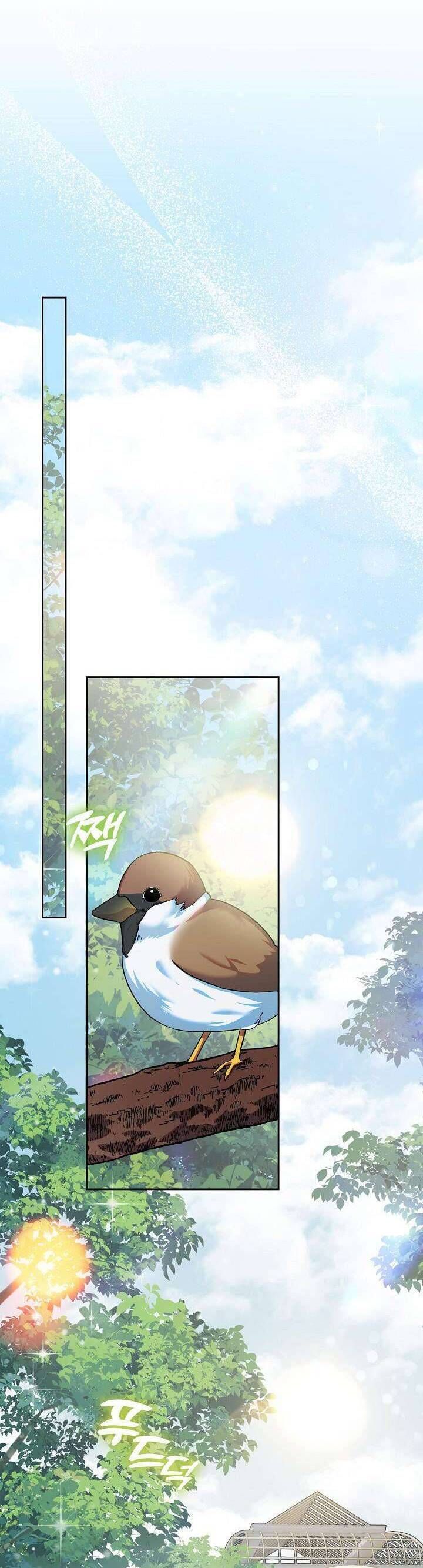 Tôi Đã Sẵn Sàng Cho Cuộc Ly Hôn Chap 16 - Next Chap 17