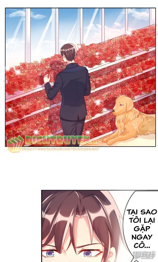 Tôi Đã Yêu Anh Trai Mình Chap 7 - Next Chap 8