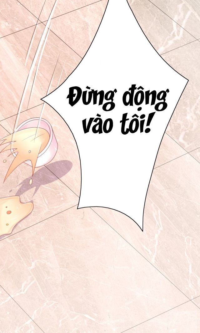 Tôi Đã Yêu Anh Trai Mình Chap 7 - Next Chap 8