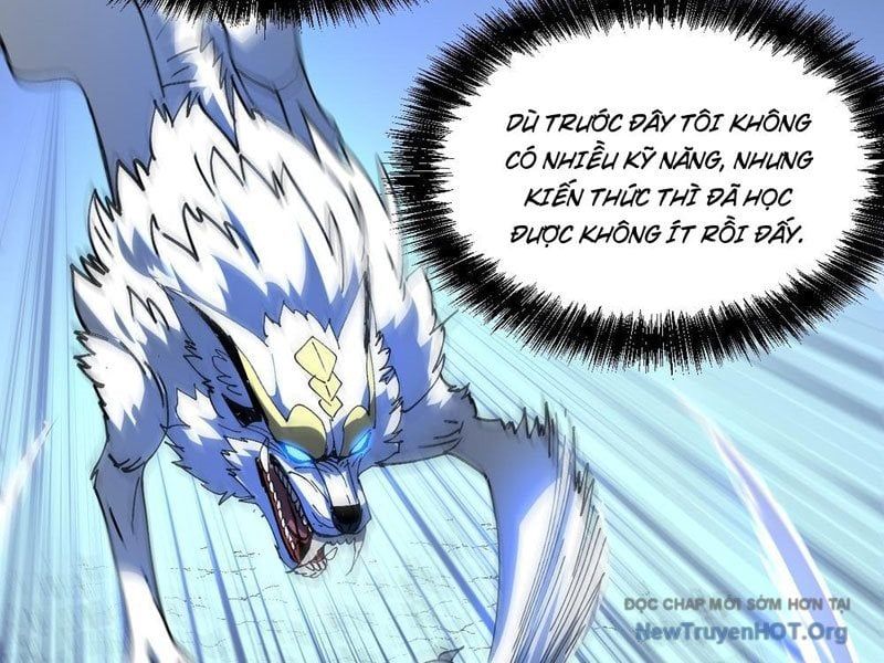 Tôi Dùng Hệ Thống Đỉnh Cấp Tái Tạo Thế Giới Chap 14 - Next Chap 15