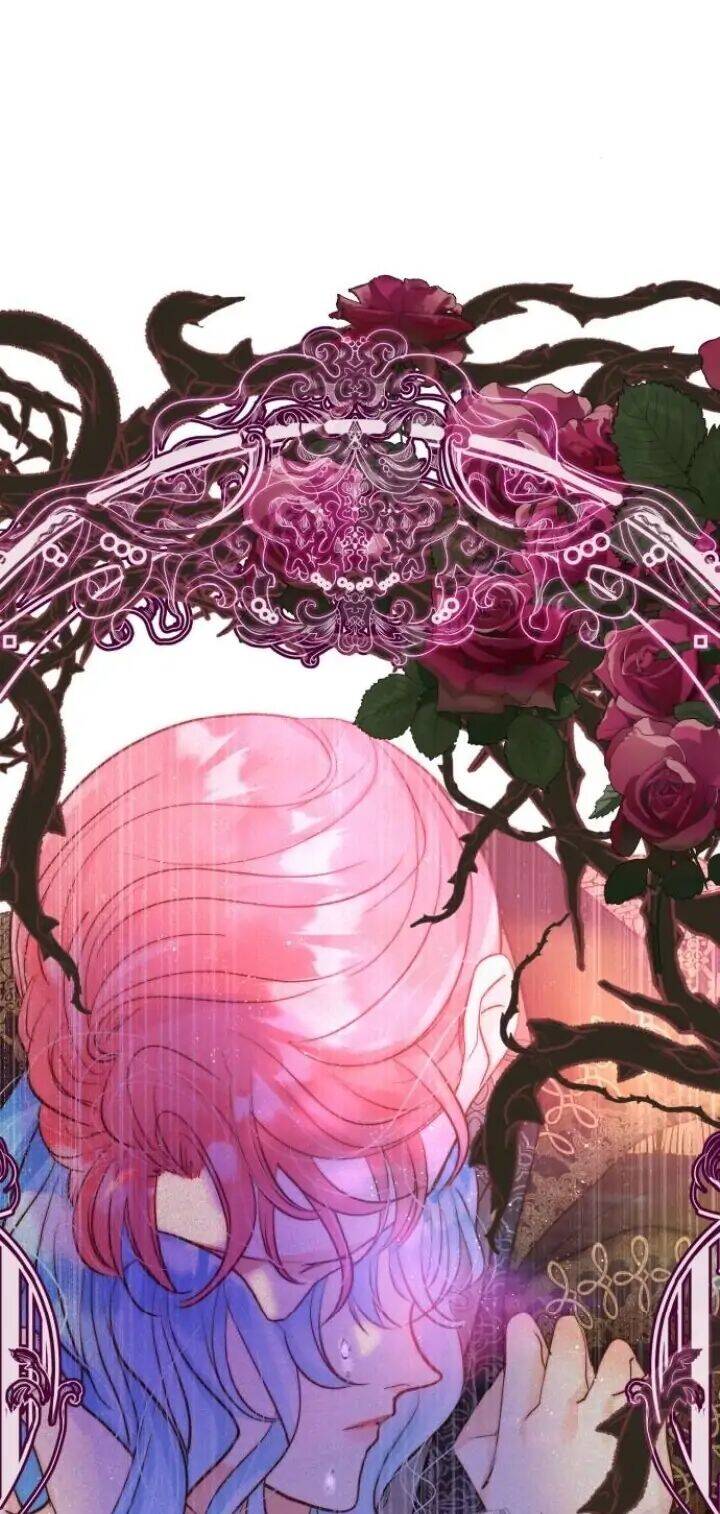 Tôi Được Sinh Ra Là Con Gái Thứ Hai Chap 11 - Next Chap 12