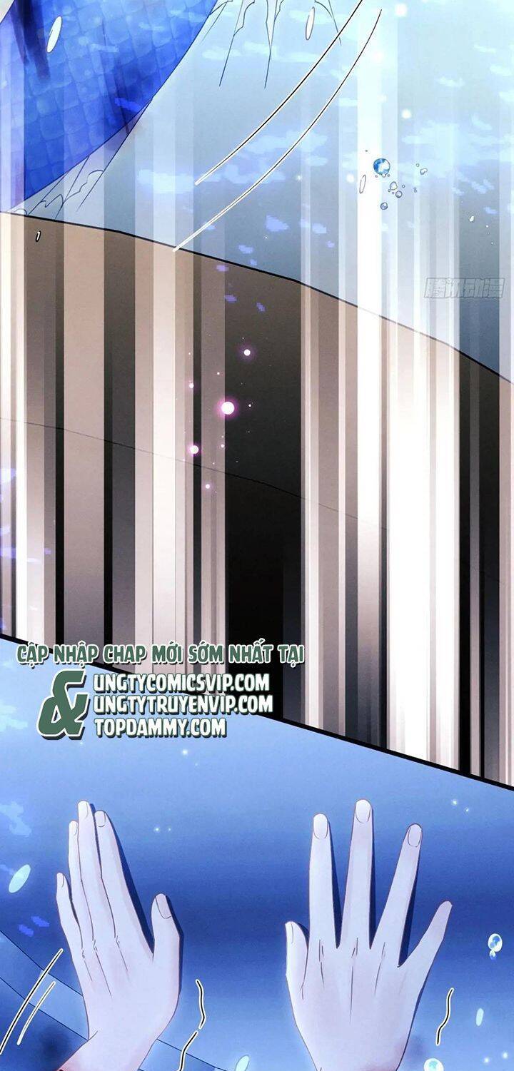 Tôi Hoài Nghi Ảnh Đế Đang Theo Đuổi Tôi Chap 122 - Next Chap 123