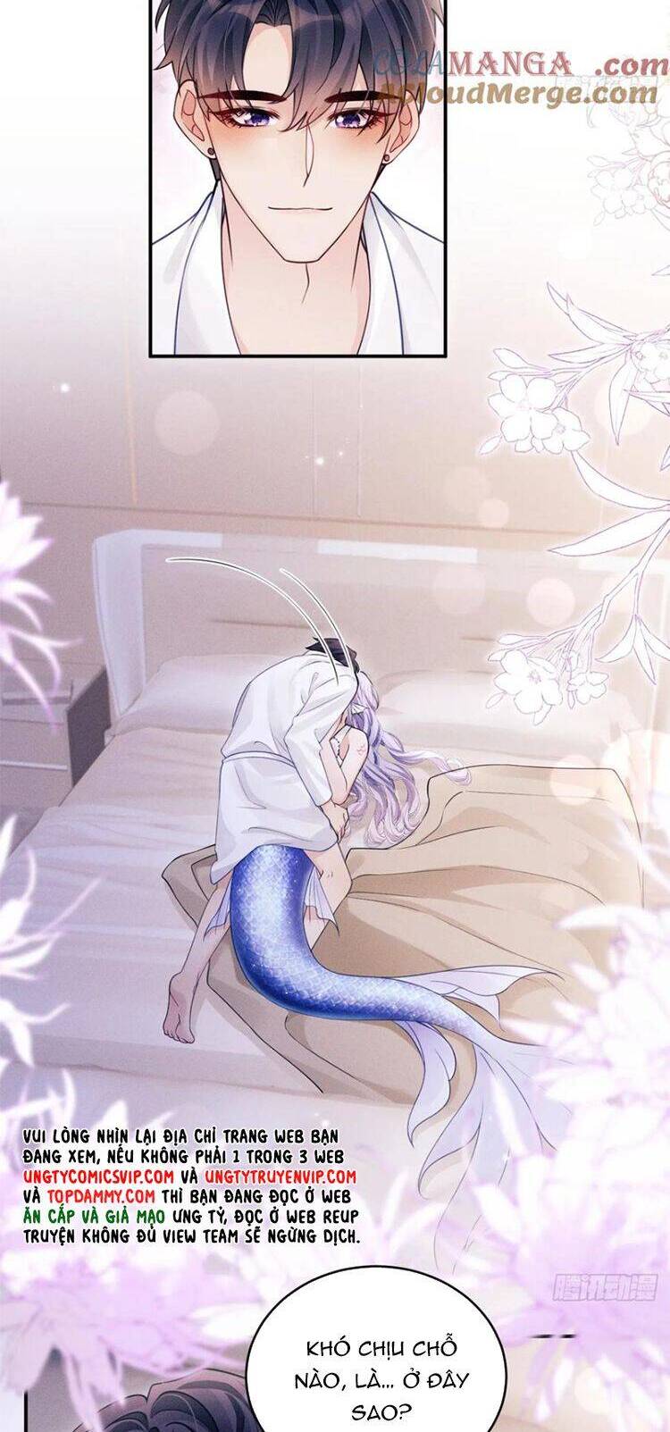 Tôi Hoài Nghi Ảnh Đế Đang Theo Đuổi Tôi Chap 144 - Next Chap 145