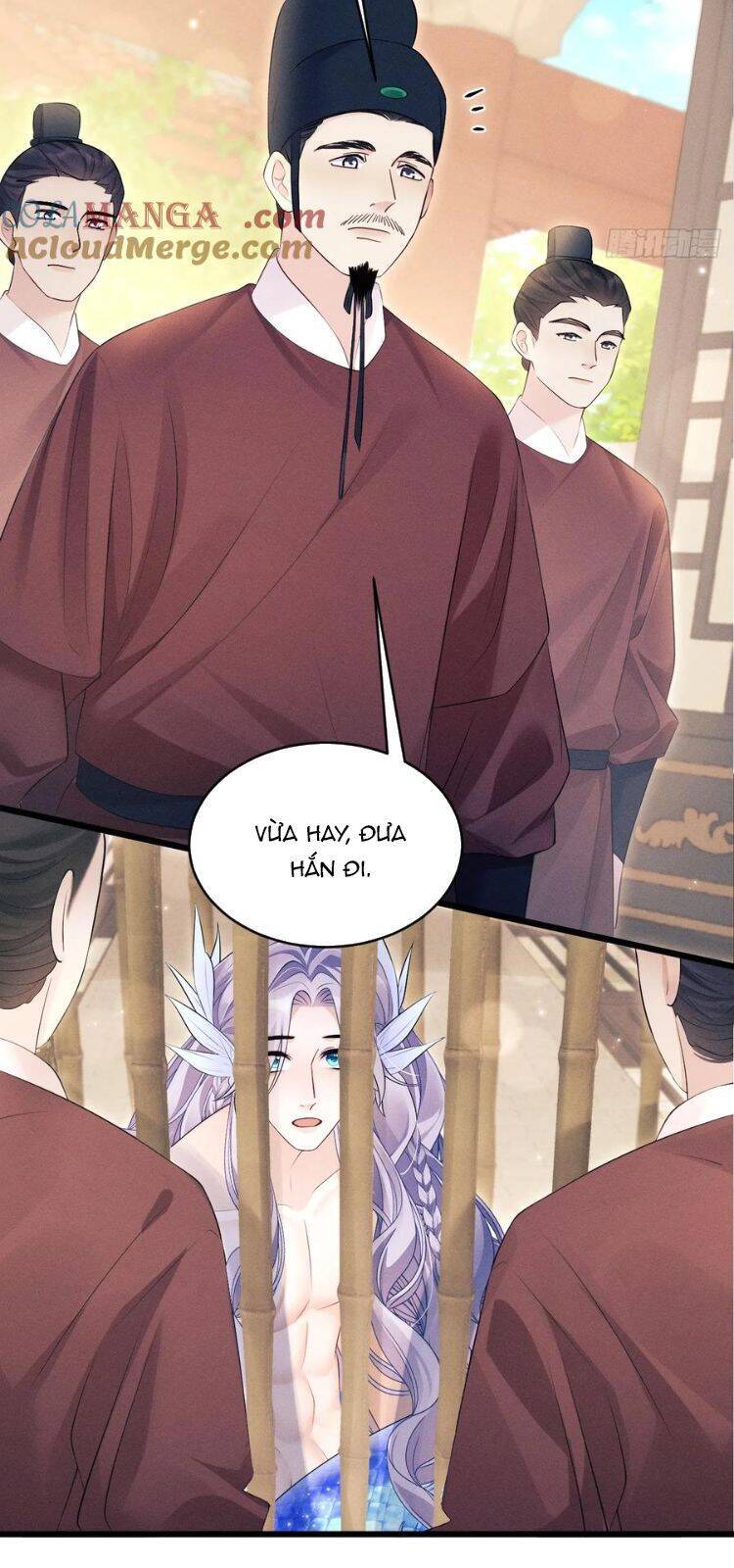 Tôi Hoài Nghi Ảnh Đế Đang Theo Đuổi Tôi Chap 155 - Next Chap 156