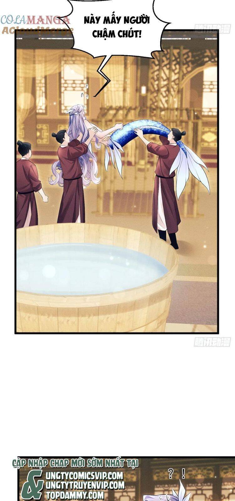 Tôi Hoài Nghi Ảnh Đế Đang Theo Đuổi Tôi Chap 155 - Next Chap 156
