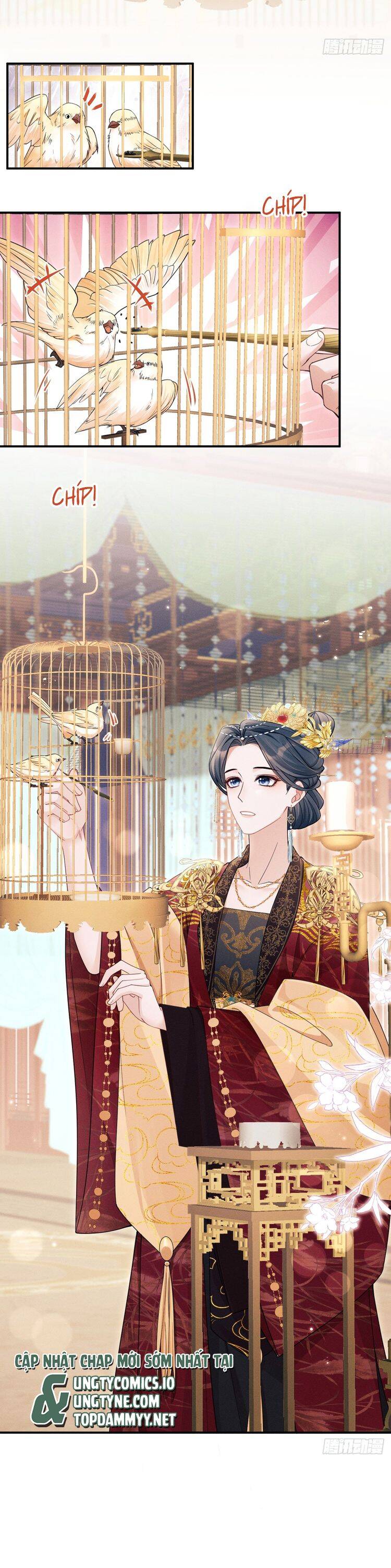 Tôi Hoài Nghi Ảnh Đế Đang Theo Đuổi Tôi Chap 165 - Next Chap 166