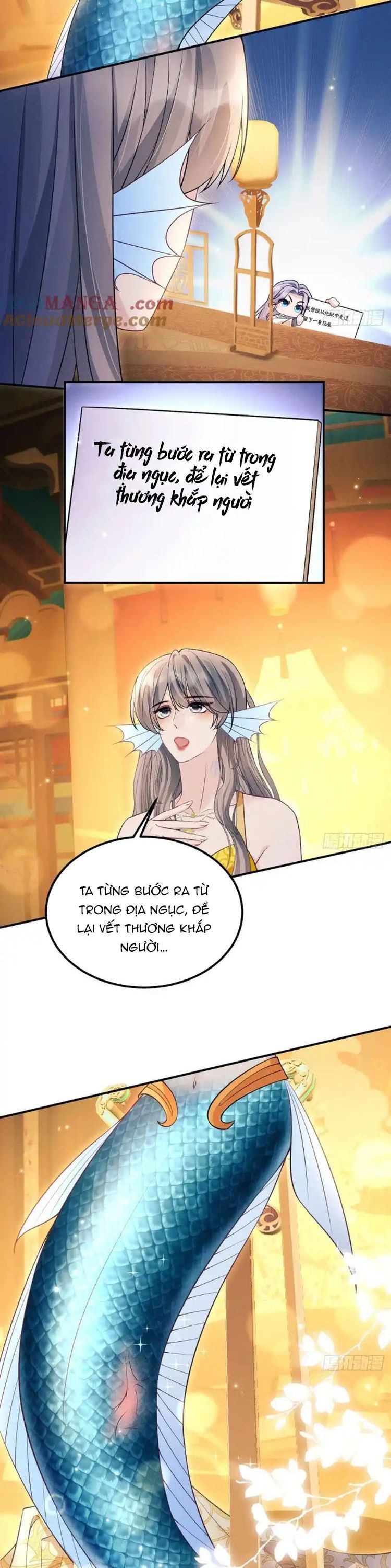 Tôi Hoài Nghi Ảnh Đế Đang Theo Đuổi Tôi Chap 183 - Next Chap 184