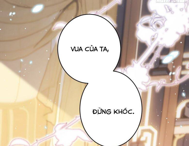 Tôi Hoài Nghi Ảnh Đế Đang Theo Đuổi Tôi Chap 6 - Next Chap 7