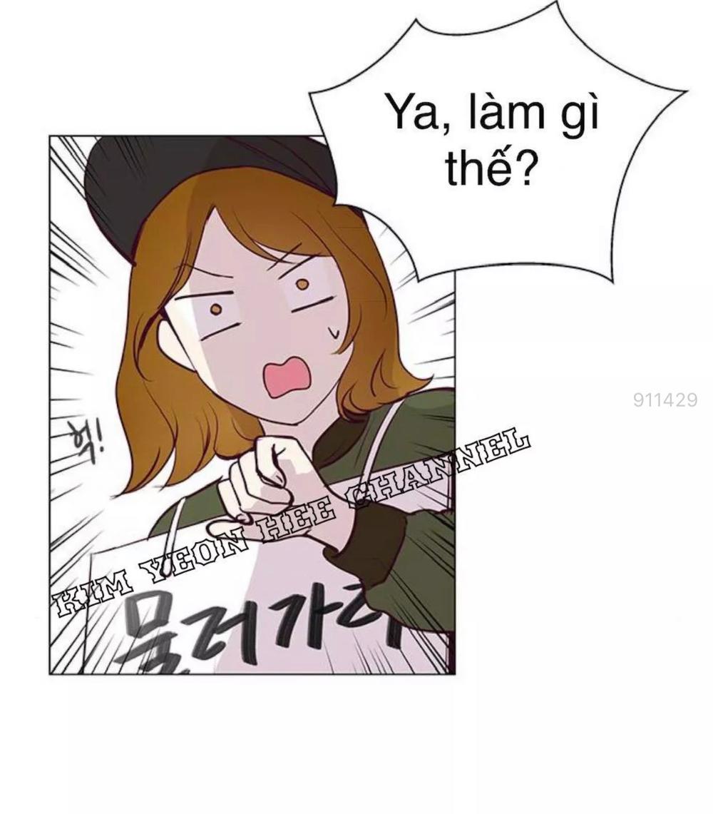 Tôi Kết Hôn Cùng Antifan Chap 11 - Next Chap 12
