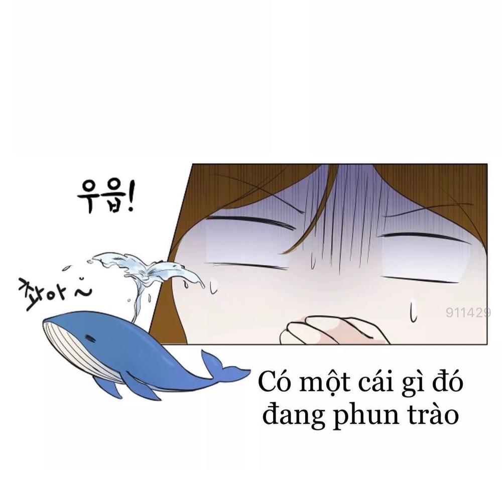 Tôi Kết Hôn Cùng Antifan Chap 61 - Next Chap 62