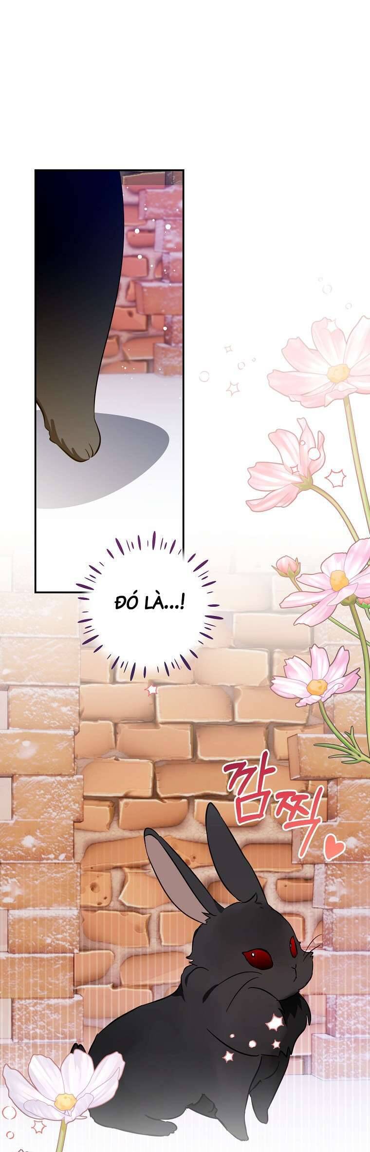 Tôi Không Muốn Có Con Với Nam Chính Chap 11 - Next Chap 12