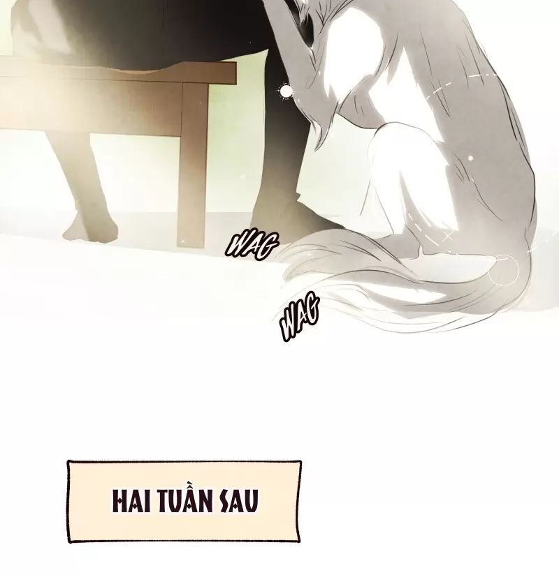 Tôi Là Kẻ Phản Diện Chap 13 - Next Chap 14