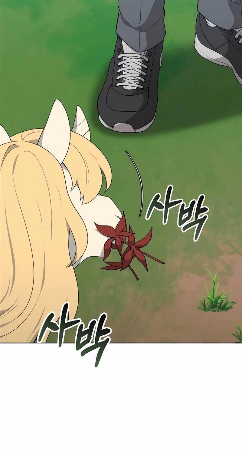 Tôi Làm Vườn Tại Thế Giới Thợ Săn Chap 40 - Next Chap 41