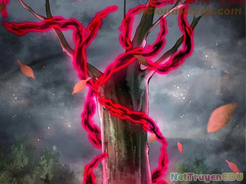Tôi Livestream Cầu Hôn Nữ Quỷ Vậy Mà Thành Công!? Chap 80 - Next Chap 81