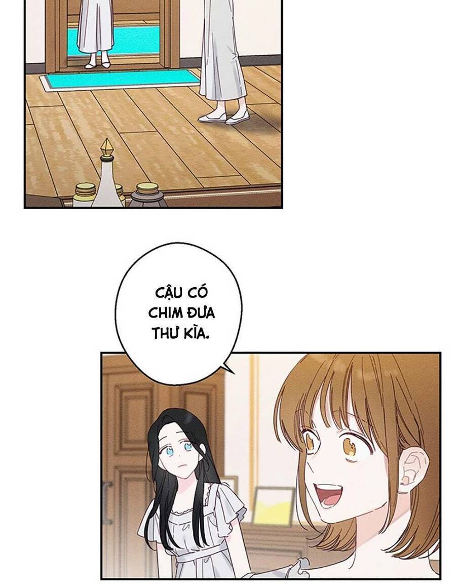 Tôi Phải Giấu Em Trai Trước Đã Chap 13 - Next Chap 14