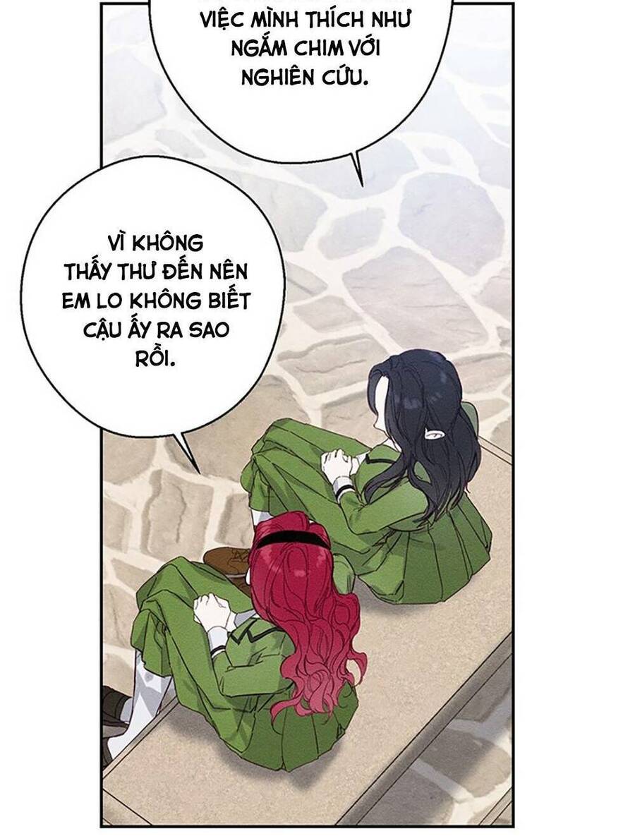 Tôi Phải Giấu Em Trai Trước Đã Chap 14 - Next Chap 15