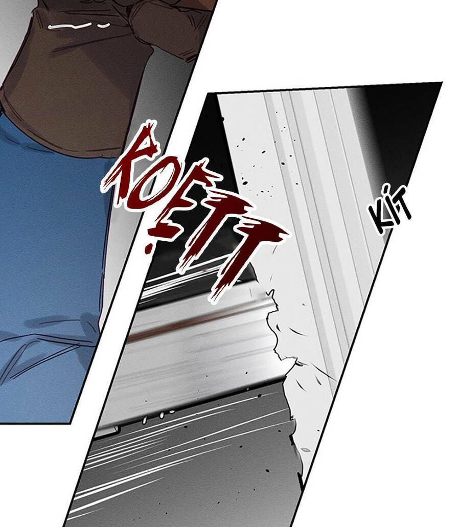 Tôi Phải Giấu Em Trai Trước Đã Chap 16 - Next Chap 17