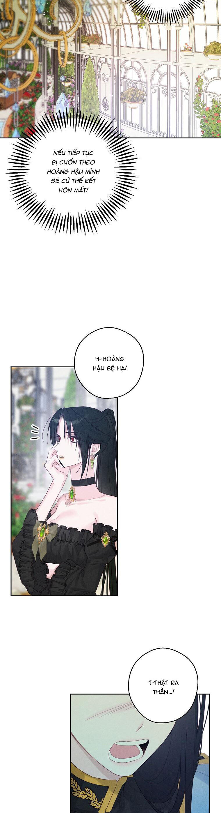 Tôi Phải Giấu Em Trai Trước Đã Chap 672 - Next Chap 673