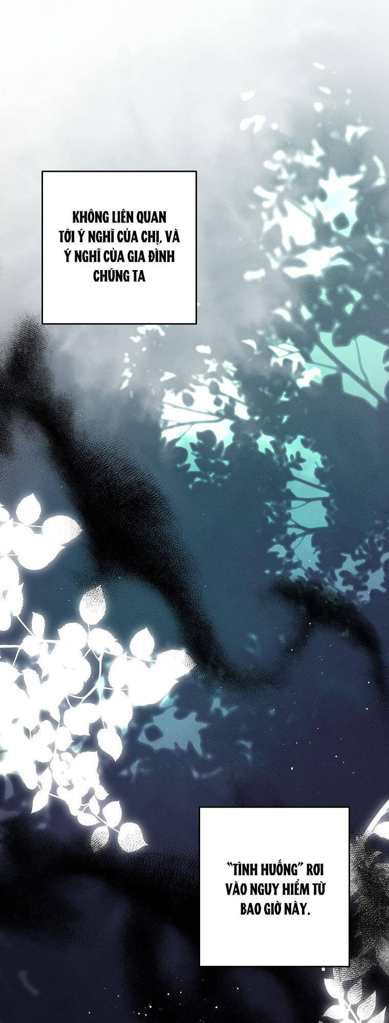 Tôi Phải Giấu Em Trai Trước Đã Chap 691 - Next Chap 692