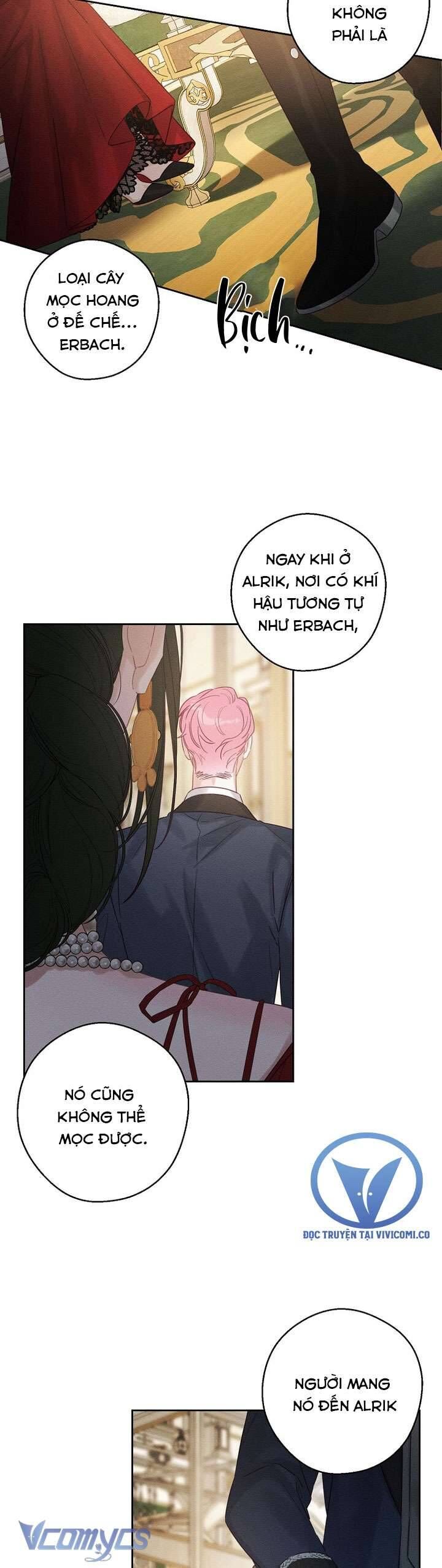 Tôi Phải Giấu Em Trai Trước Đã Chap 85 - Next Chap 86