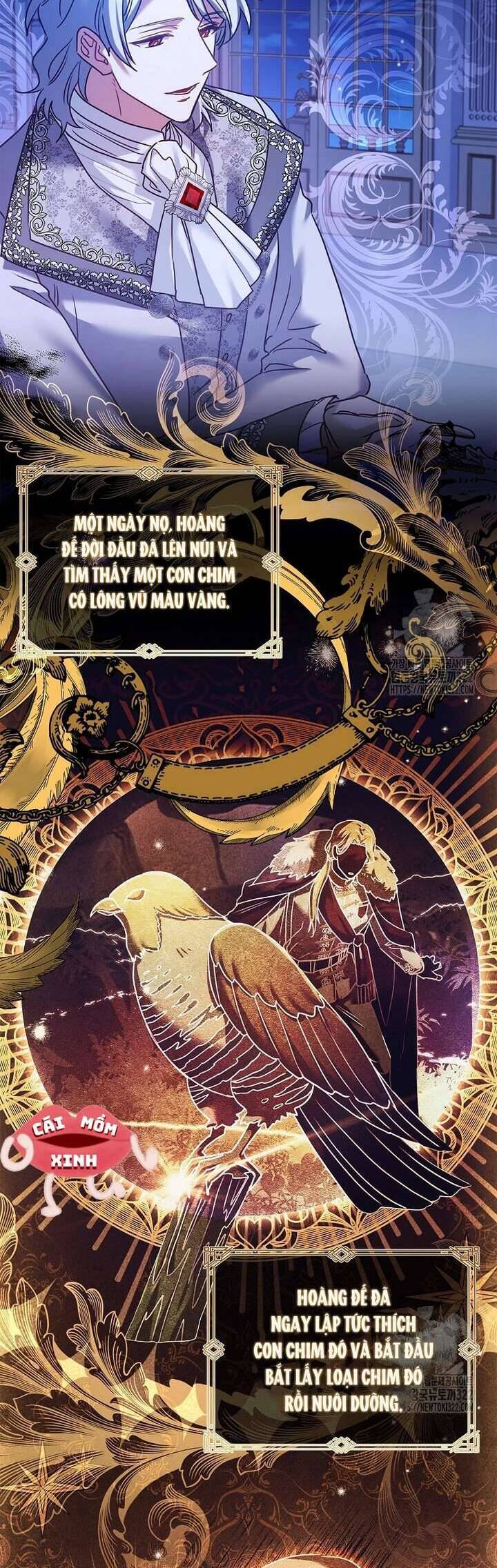 Tôi Phải Mau Chóng Kết Hôn Vì Thời Gian Có Hạn Chap 23 - Next Chap 24