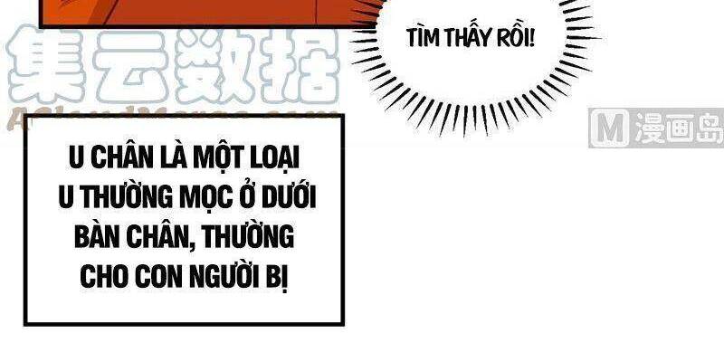 Tôi Sống Trên Hoang Đảo Cùng Các Em Gái Chap 165 - Next Chap 166
