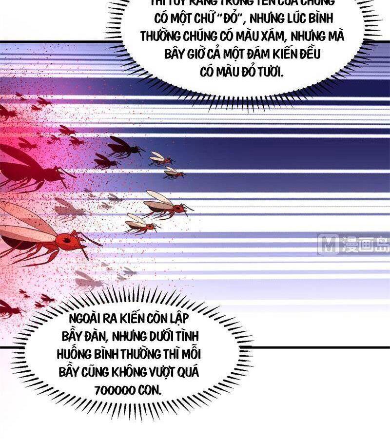 Tôi Sống Trên Hoang Đảo Cùng Các Em Gái Chap 166 - Next Chap 167