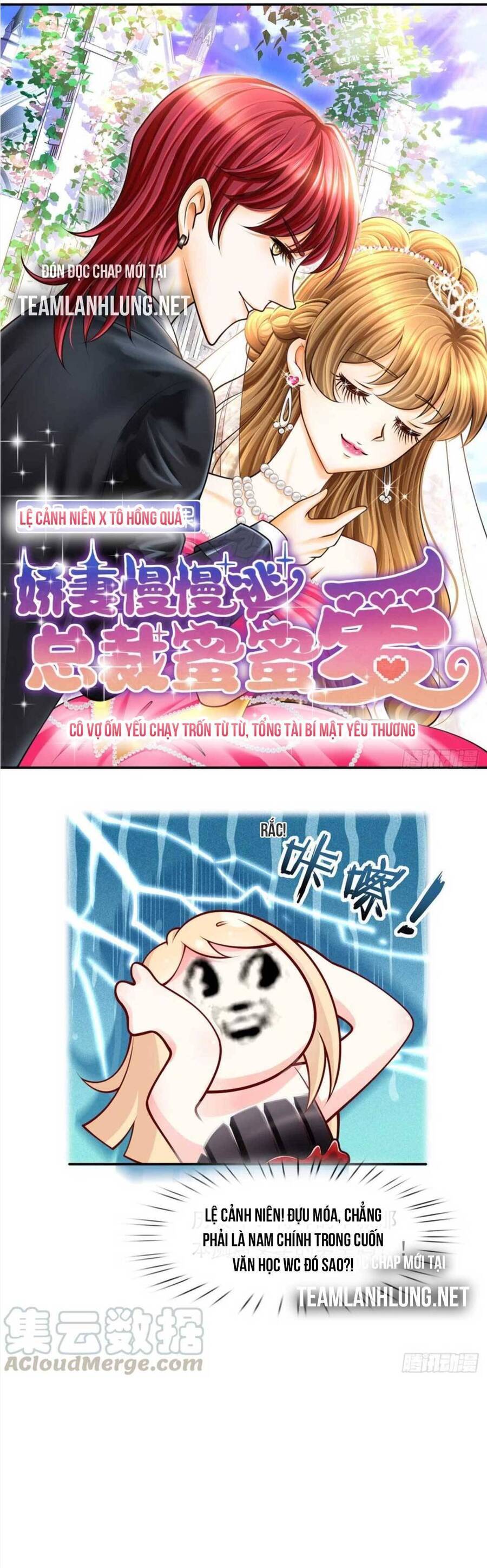Tôi Trở Thành Kiều Thê Của Ông Trùm Phản Diện Chap 11 - Next Chap 12