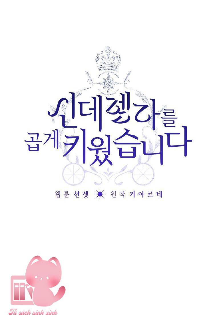 Tôi Trở Thành Mẹ Kế Của Cinderella Chap 95 - Next Chap 96