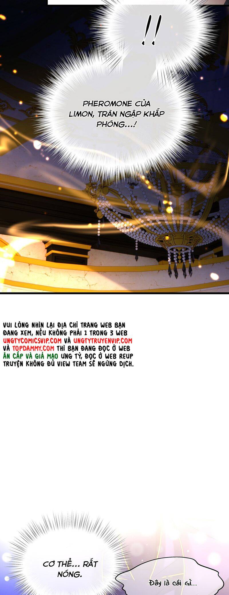 Tôi Trùng Sinh Trở Thành Tiểu Ác Long Của Vương Tử Điện Hạ Chap 50 - Next Chap 51