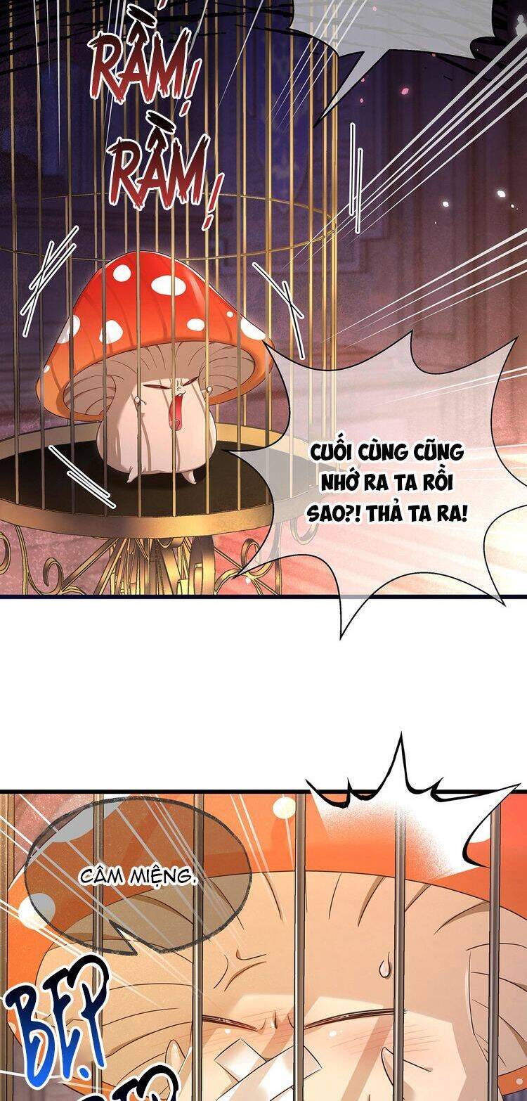 Tôi Trùng Sinh Trở Thành Tiểu Ác Long Của Vương Tử Điện Hạ Chap 51 - Next Chap 52