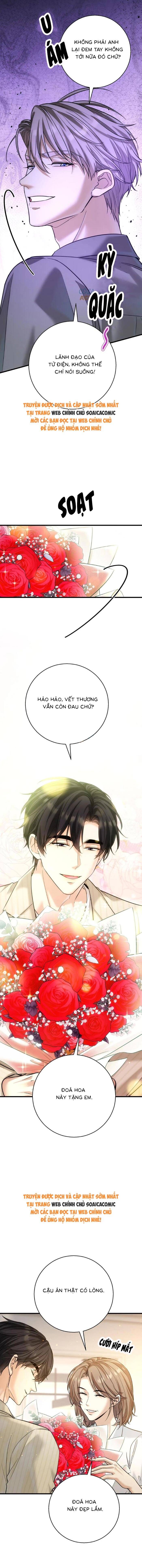 Tổng Tài Chó Chap 35 - Next Chap 36