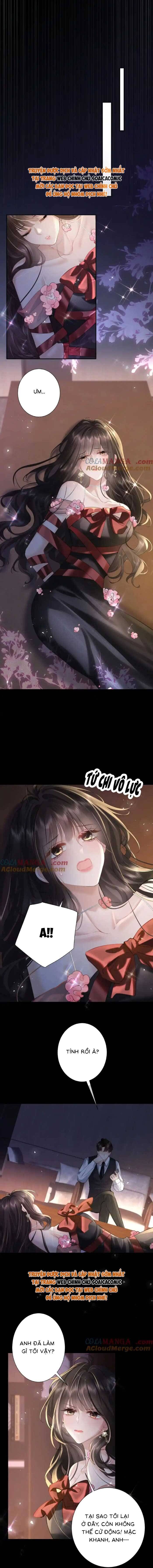 Tổng Tài Cố Chấp, Xin Hãy Buông Tha Chap 12 - Next Chap 13