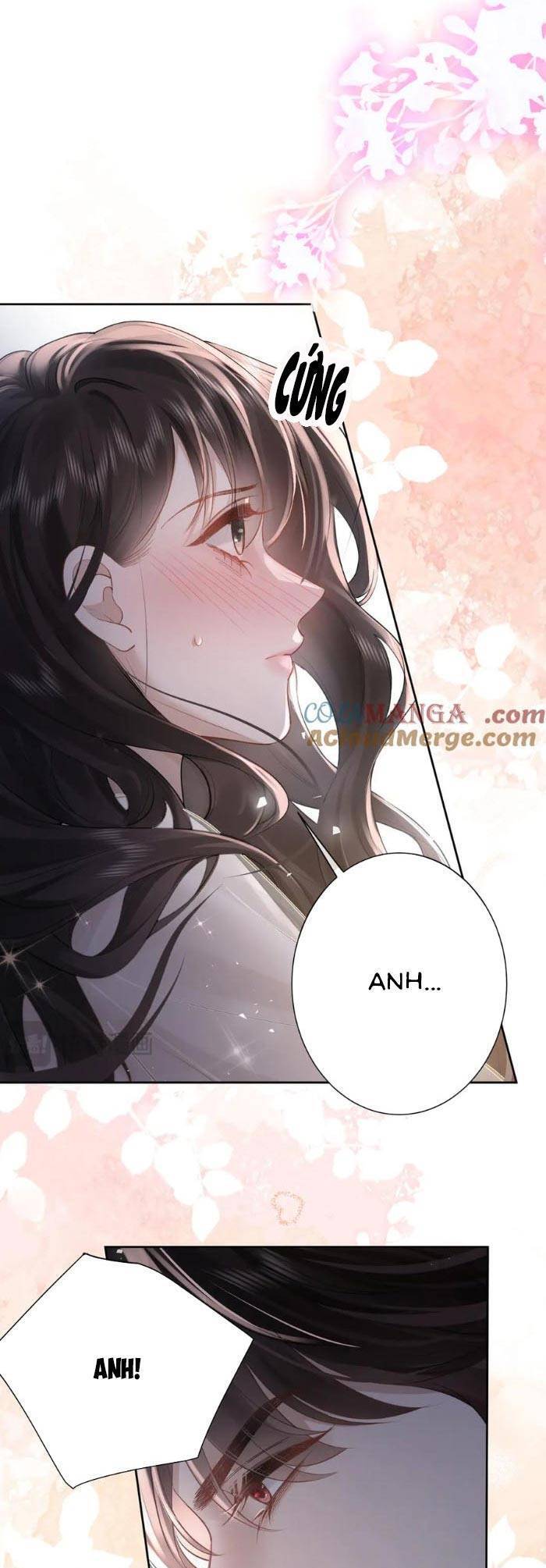 Tổng Tài Cố Chấp, Xin Hãy Buông Tha Chap 15 - Next Chap 16