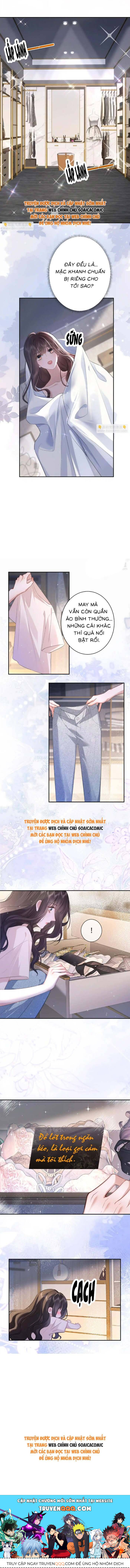 Tổng Tài Cố Chấp, Xin Hãy Buông Tha Chap 6 - Next Chap 7