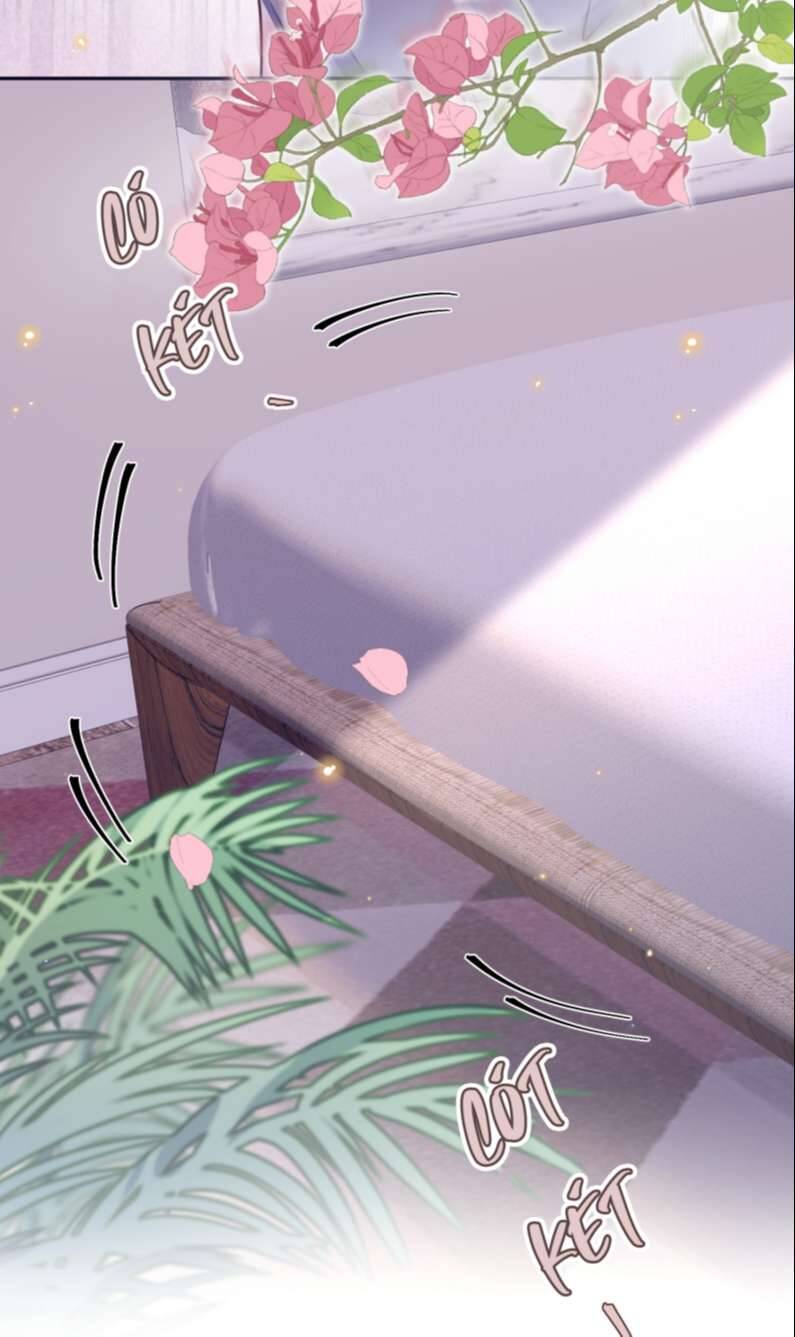 Tổng Tài Định Chế Tư Nhân Chap 36 - Next Chap 37